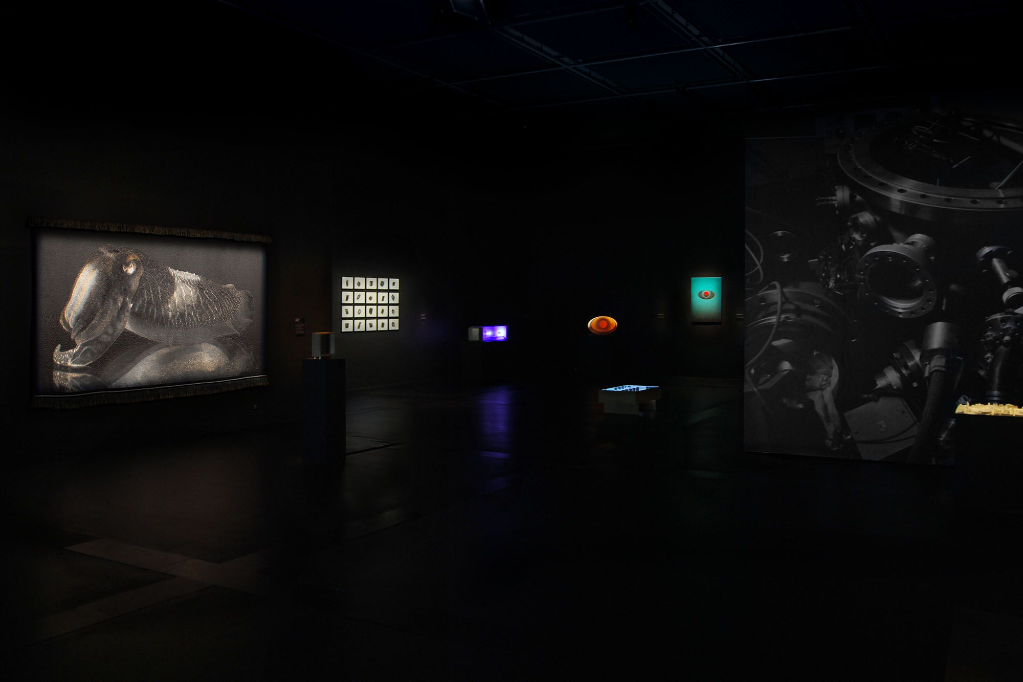 LRE_View_1