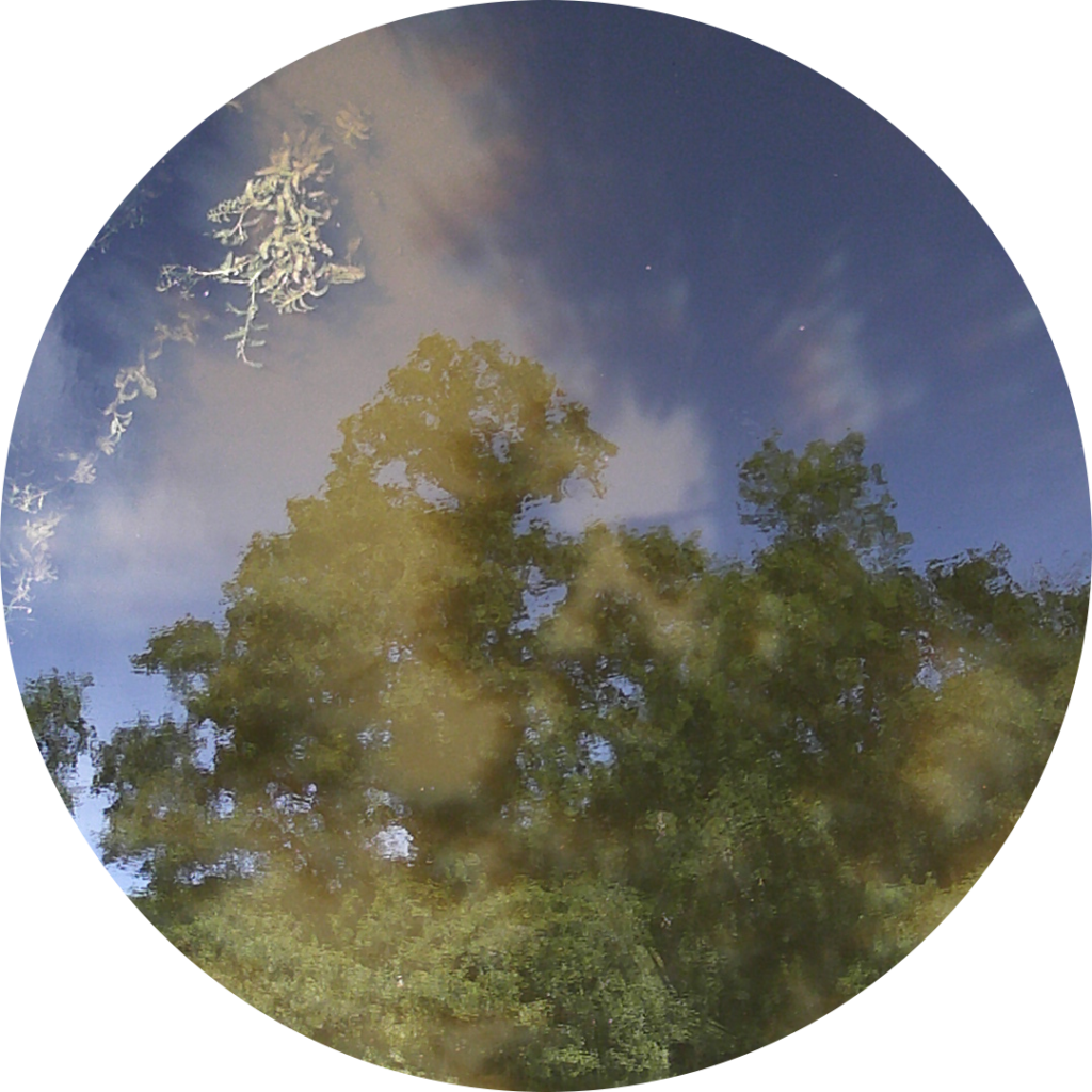 23-05-31_17h16