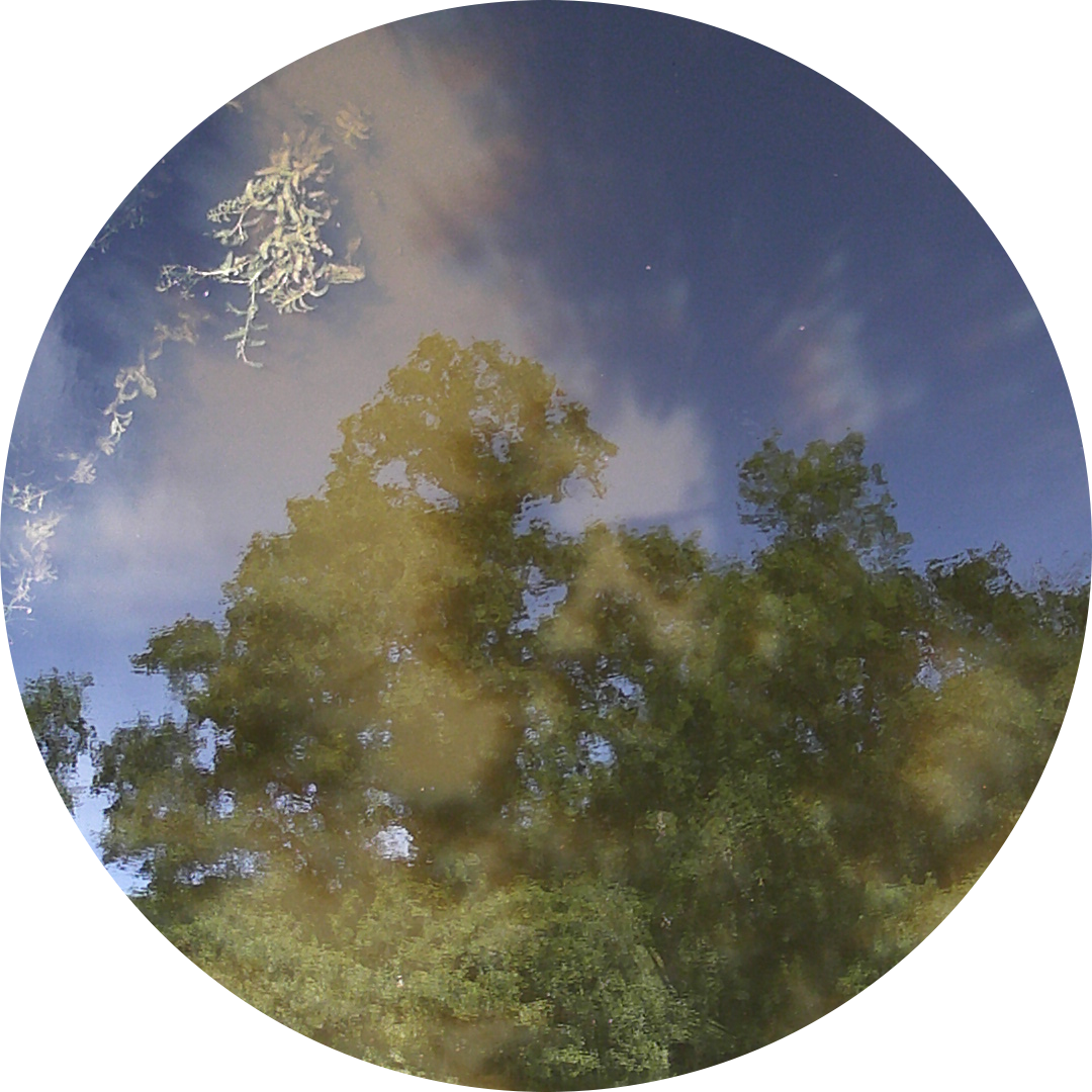 23-05-31_17h16