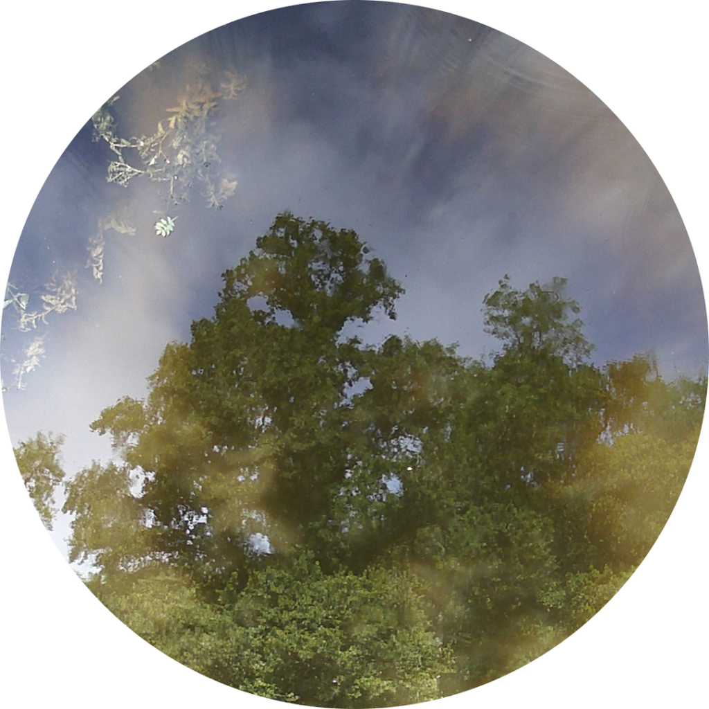 23-06-01_18h06