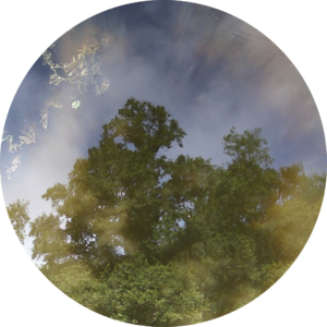 23-06-01_18h06