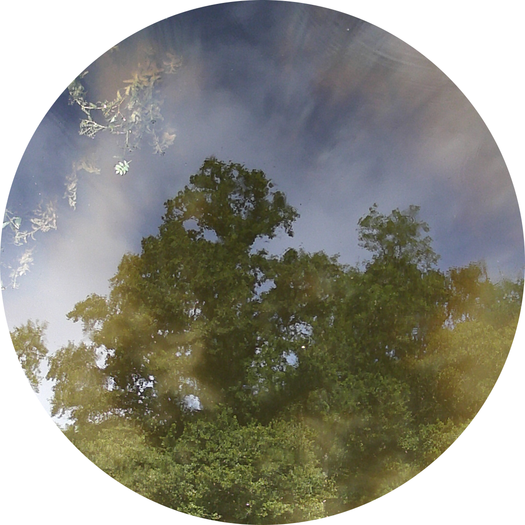 23-06-01_18h06