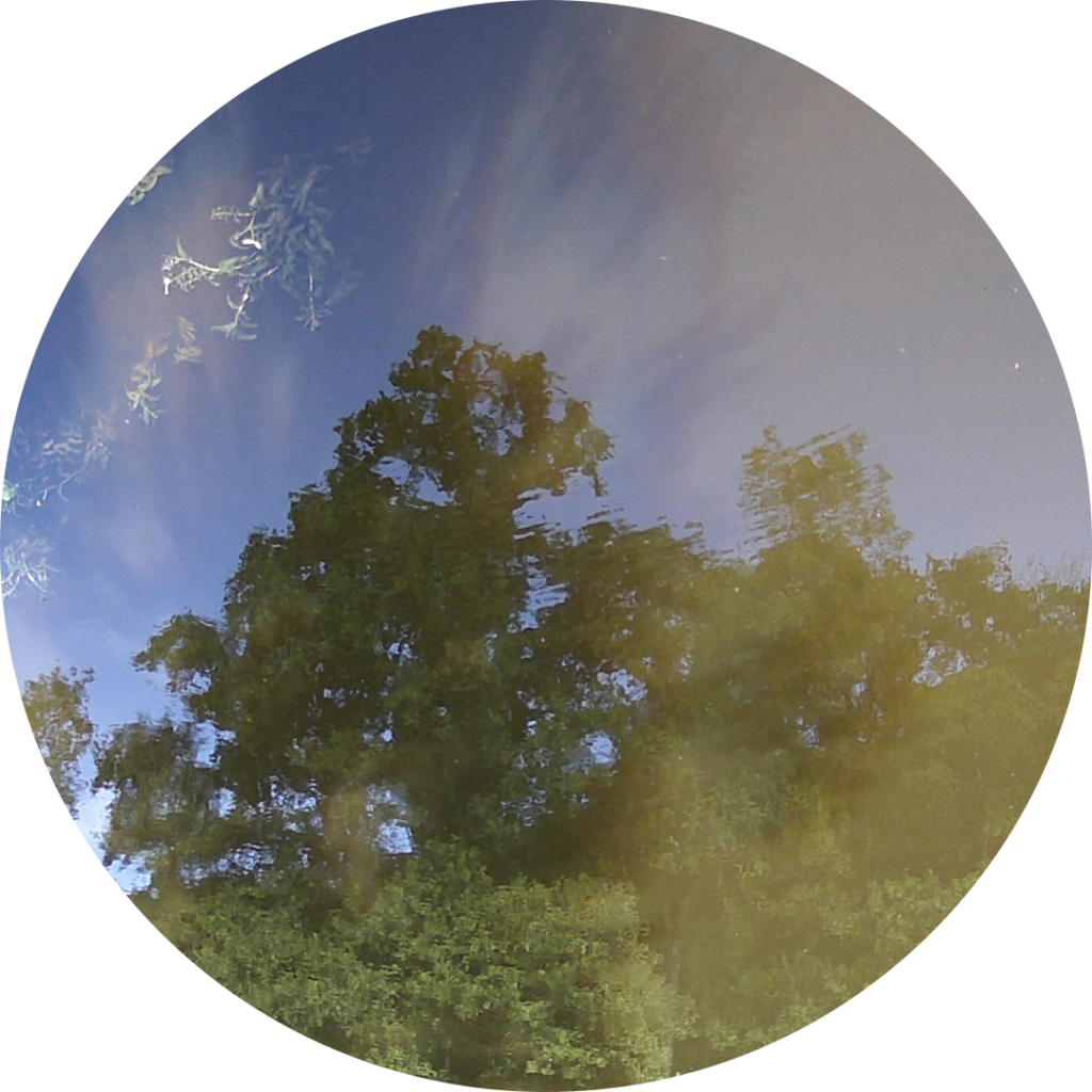 23-06-02_18h50