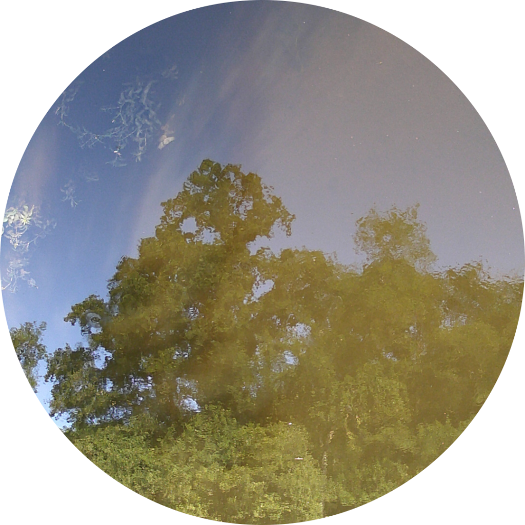 23-06-03_19h30