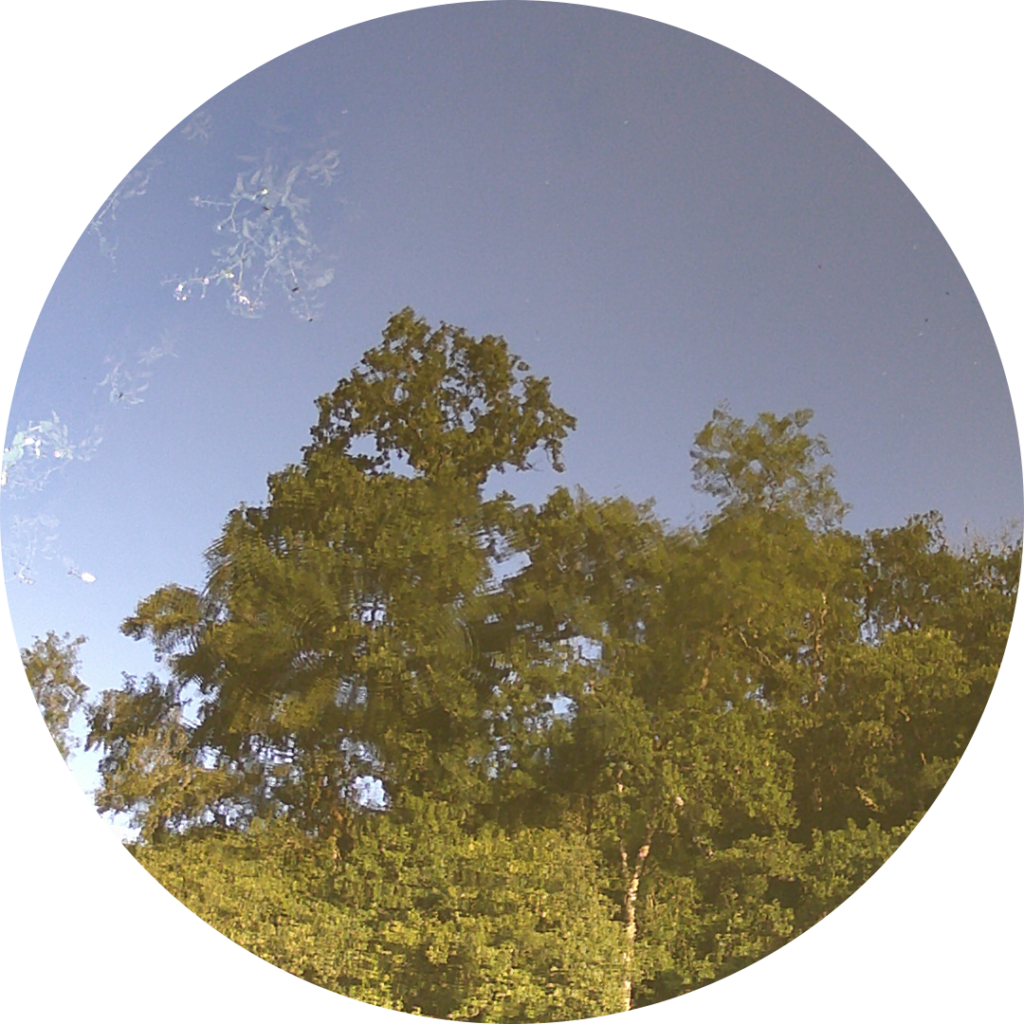 23-06-05_20h54