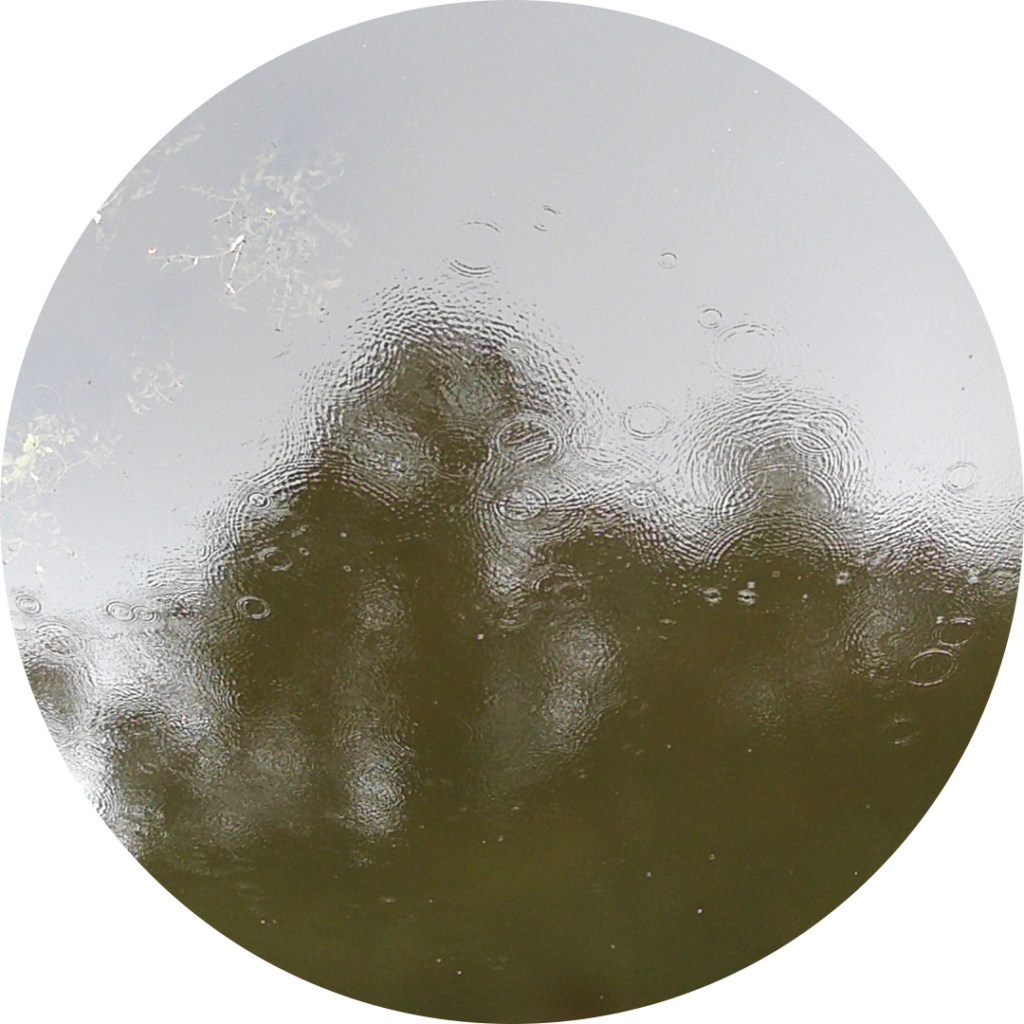 23-06-09_11h50