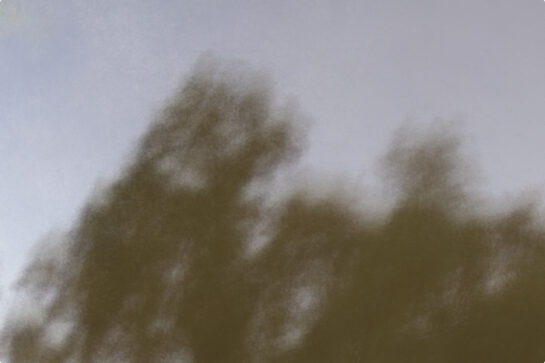 La_memoire_de_l_eau