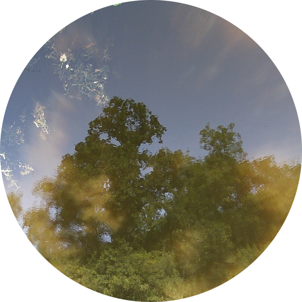 23-06-15_18h03