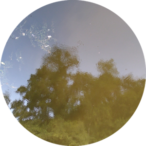 23-06-17_19h31