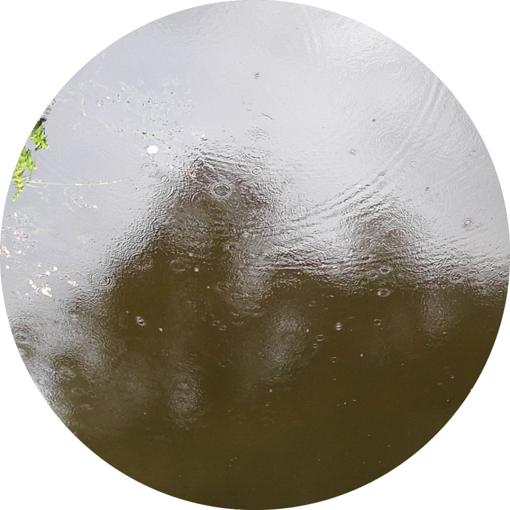 23-06-19_20h46