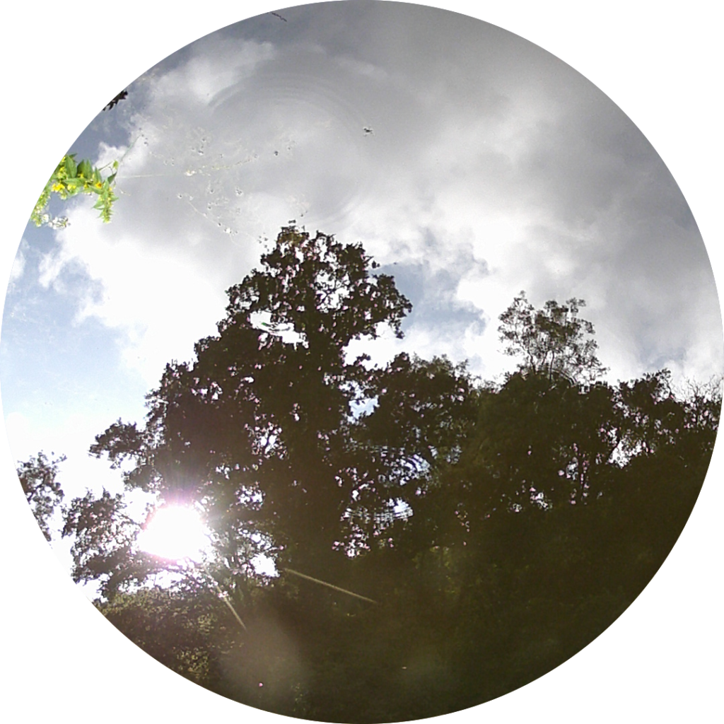 23-06-21_09h48