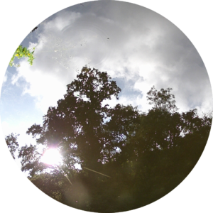 23-06-21_09h48