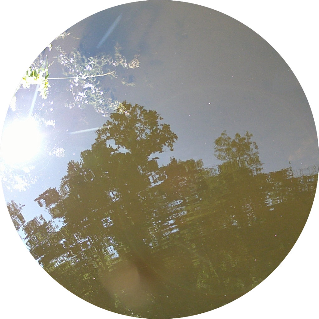 23-06-23_10h56