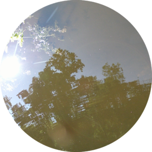 23-06-23_10h56