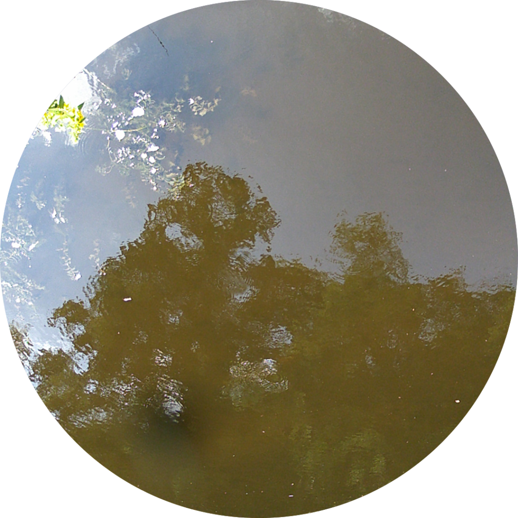 23-06-25_12h15