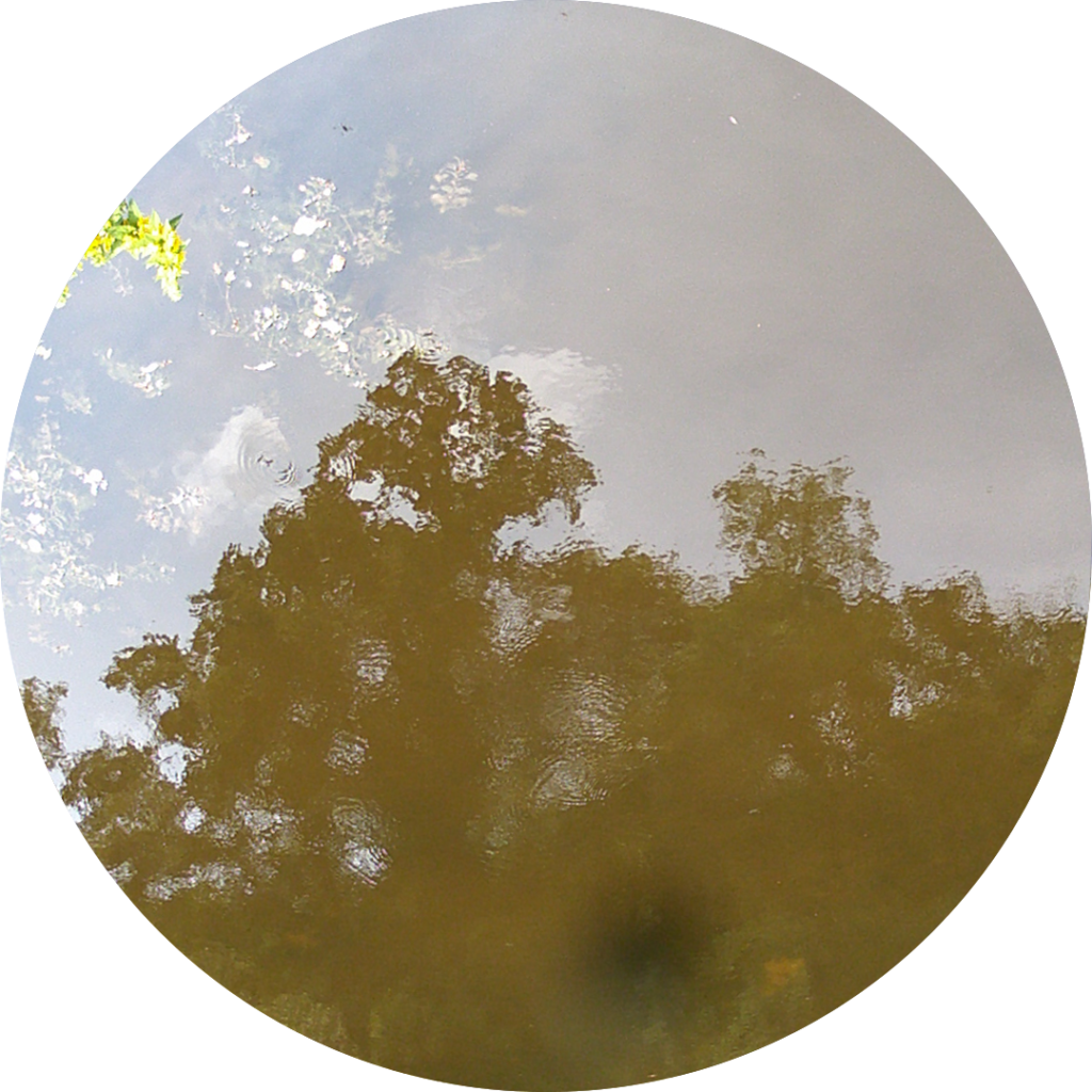 23-06-26_13h05