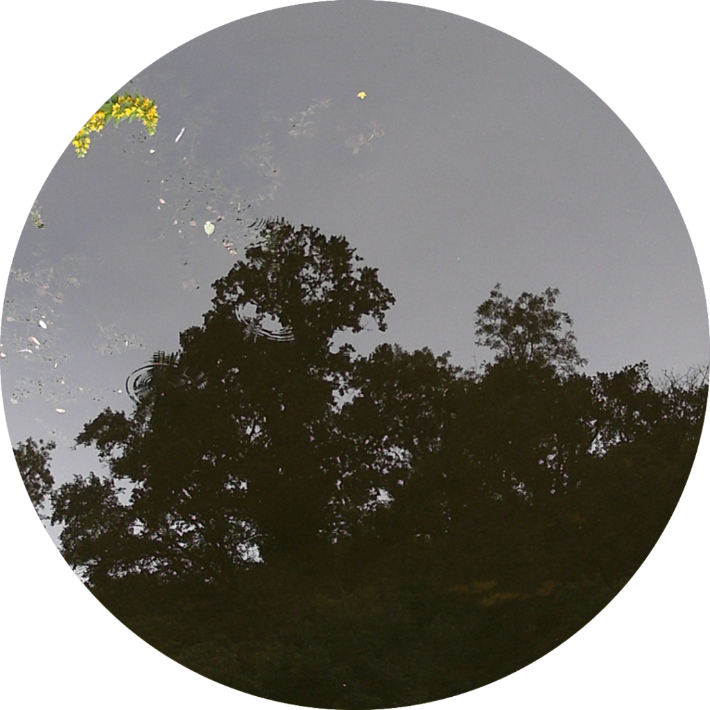 23-06-30_17h18
