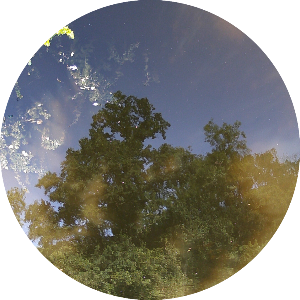 23-07-01_18h13