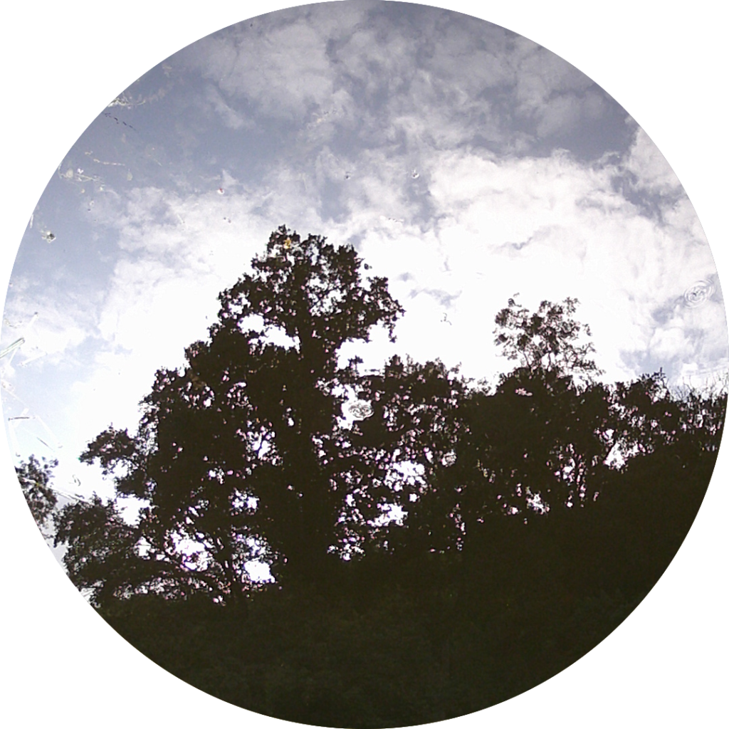 23-07-05_09h14