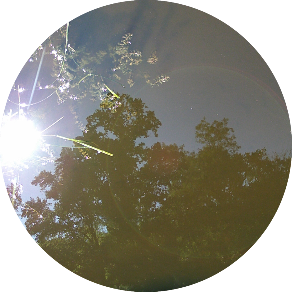 23-07-07_10h53