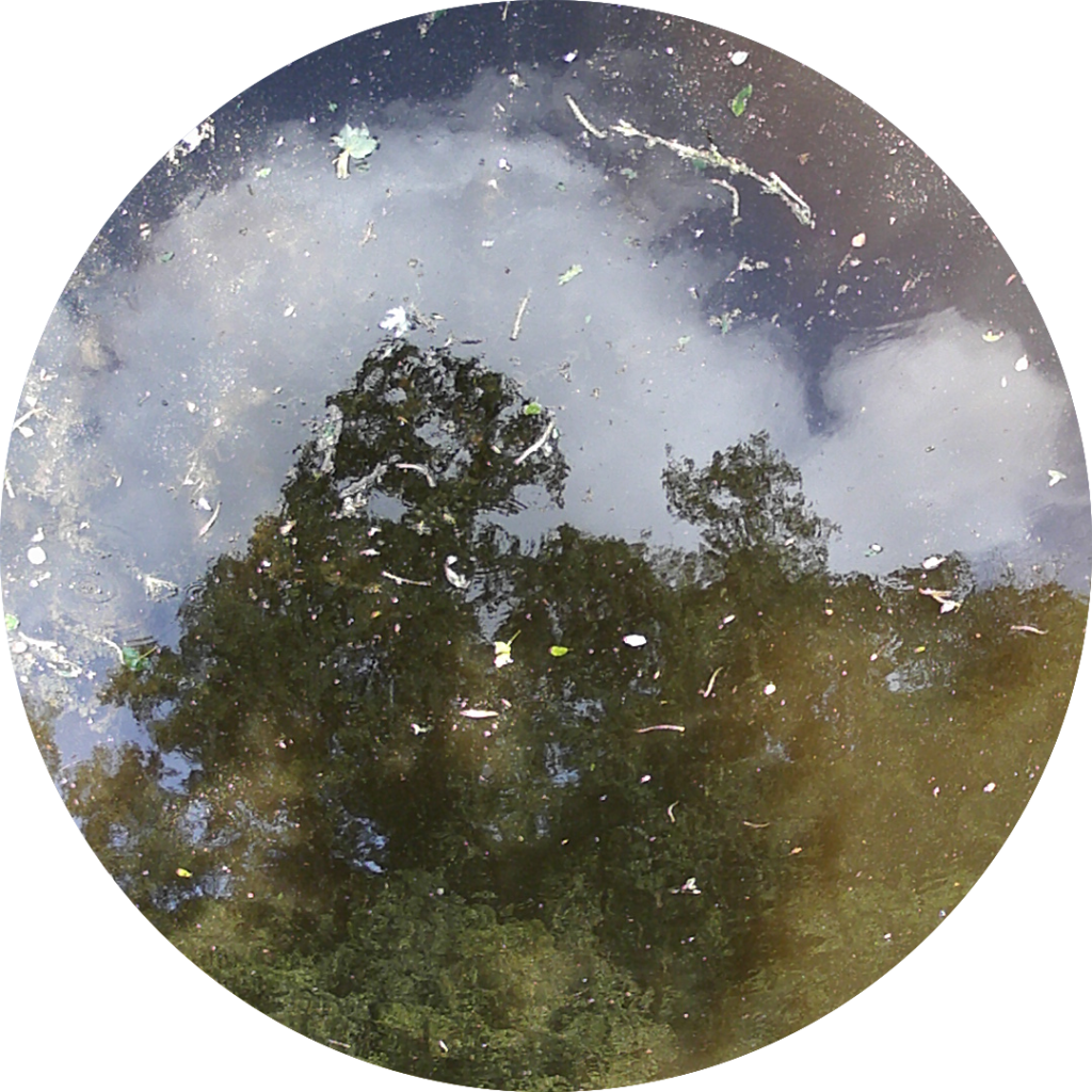 23-07-15_18h29