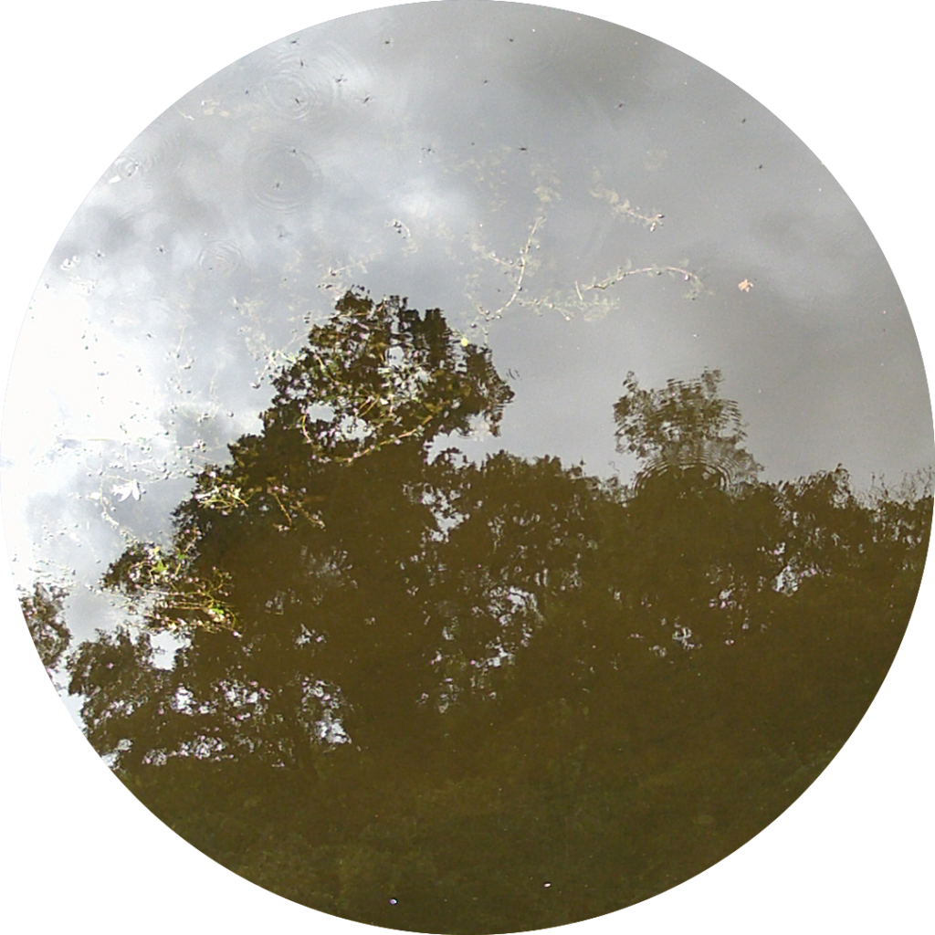 23-07-25_12h16