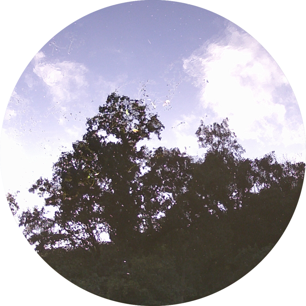 23-08-02_08h18