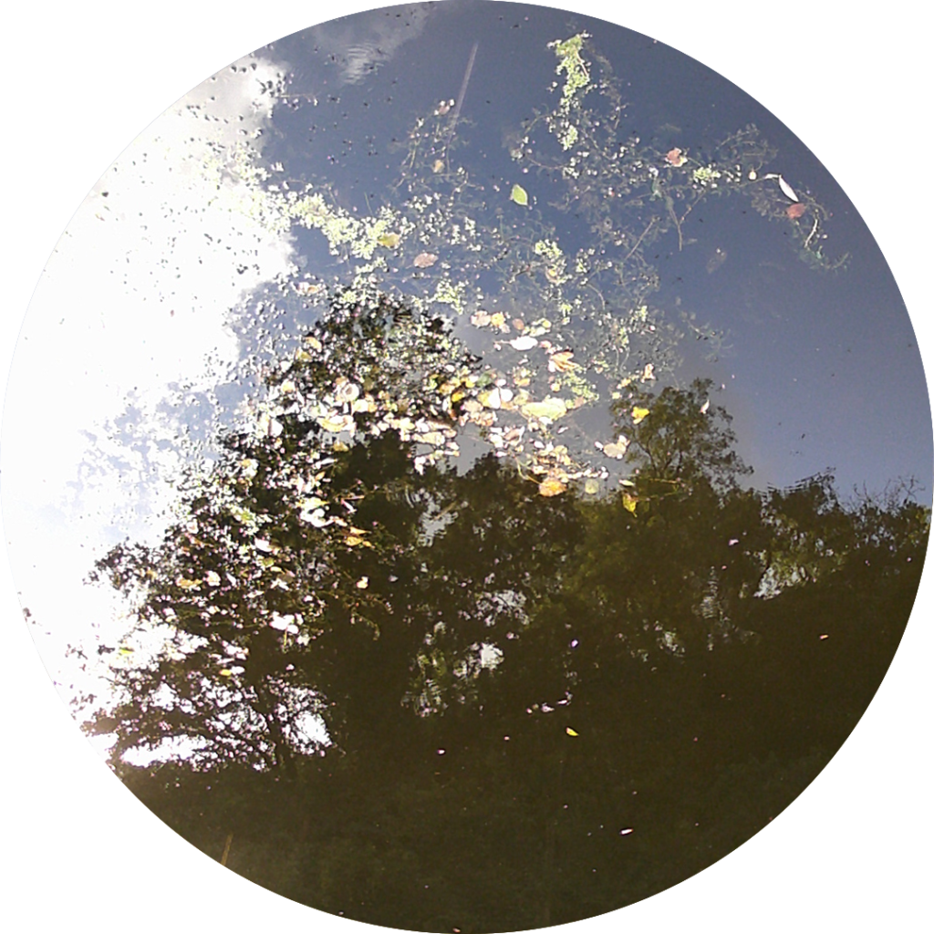 23-08-19_09h46