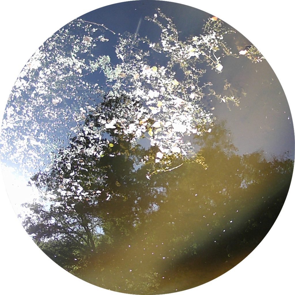 23-08-20_10h12