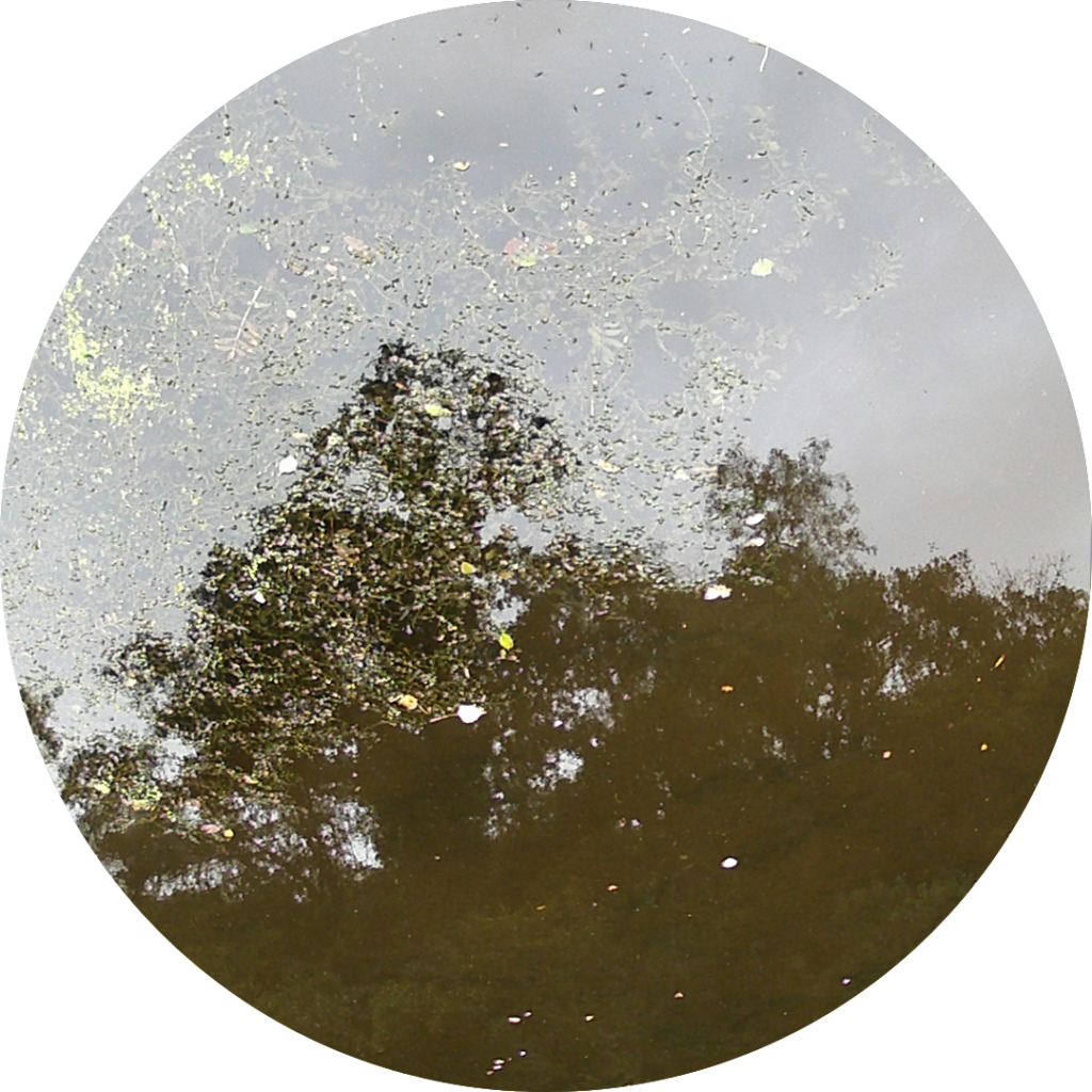 23-08-29_18h42