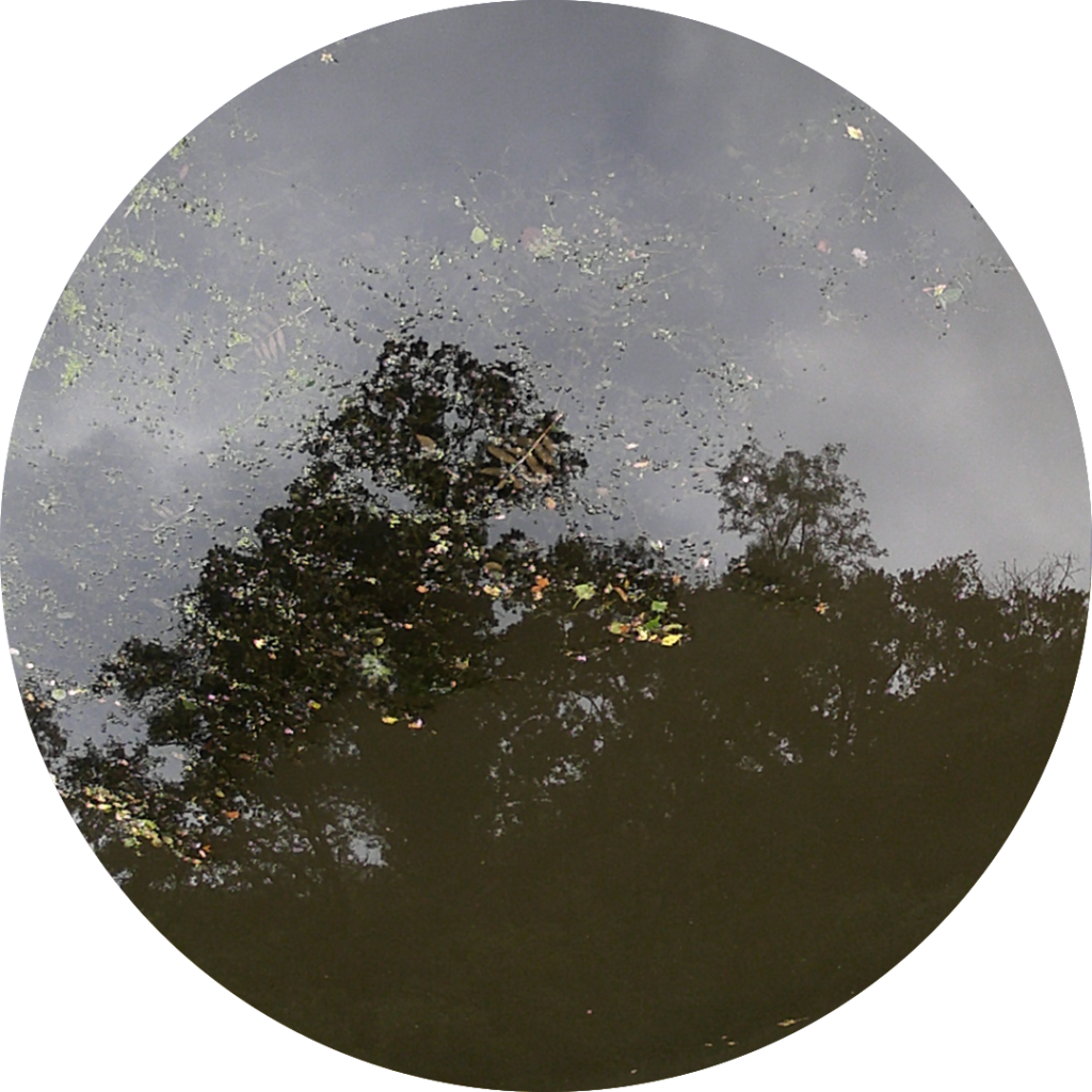 23-09-01_08h51