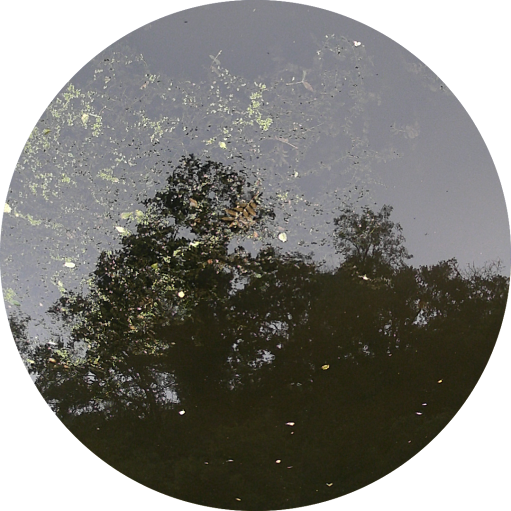 23-09-03_10h16