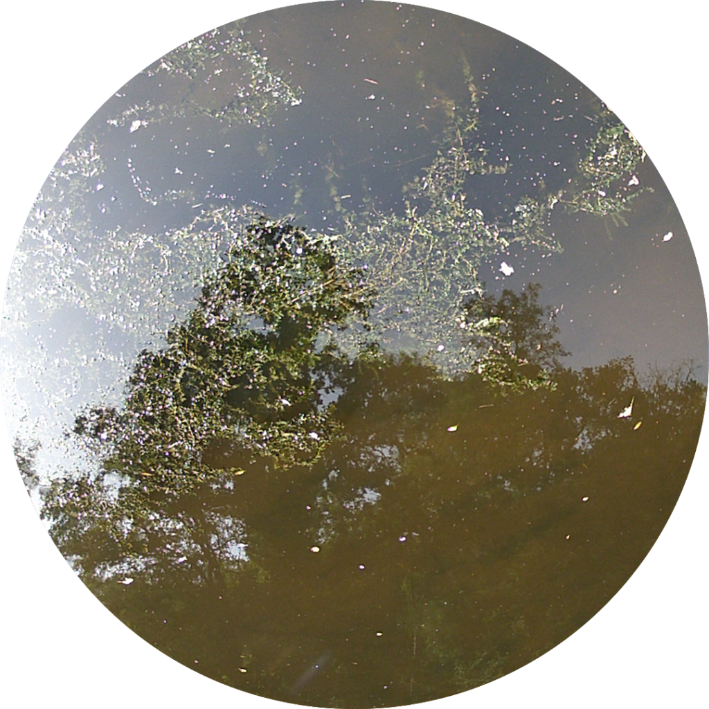 23-09-05_11h26