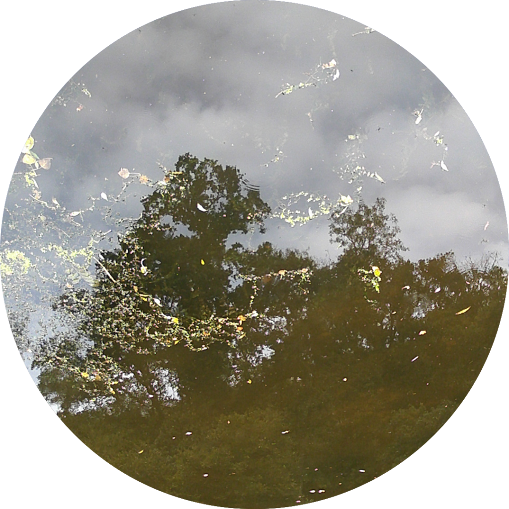 23-09-11_18h00