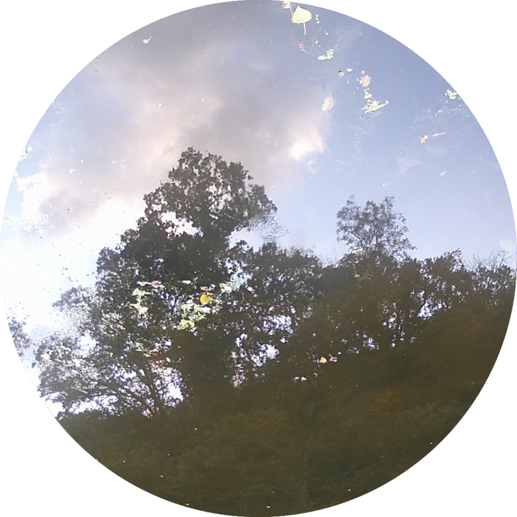 23-09-15_08h15