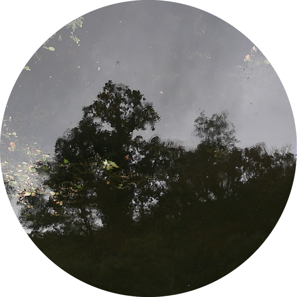 23-09-21_11h02