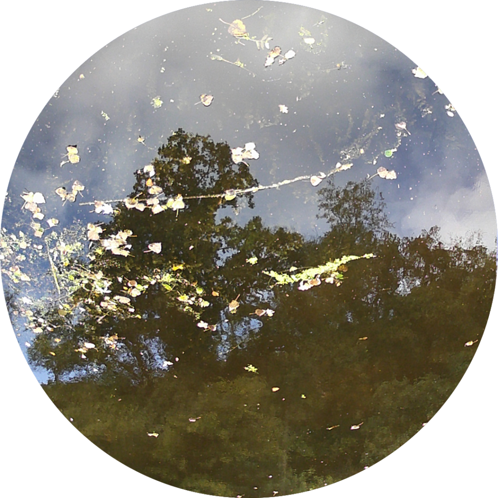 23-09-26_17h33