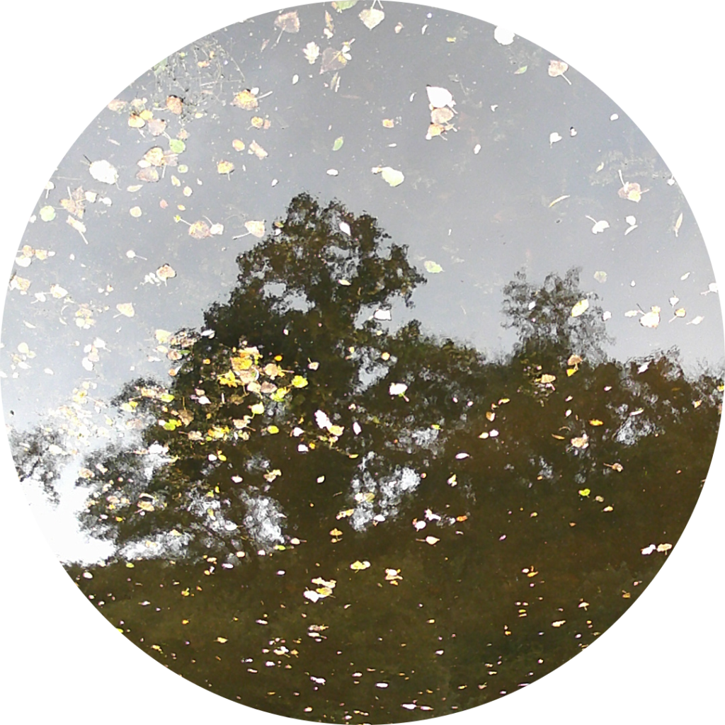23-09-27_18h31