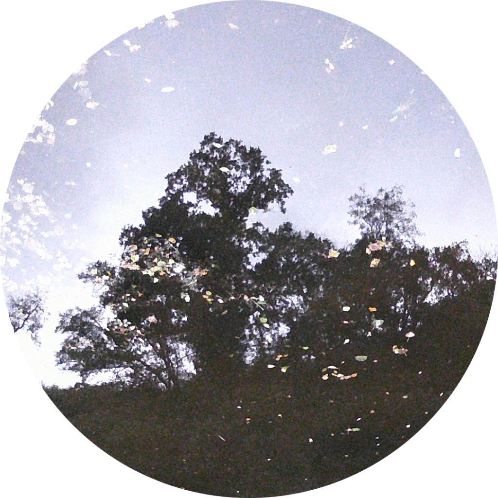 23-09-29_07h48