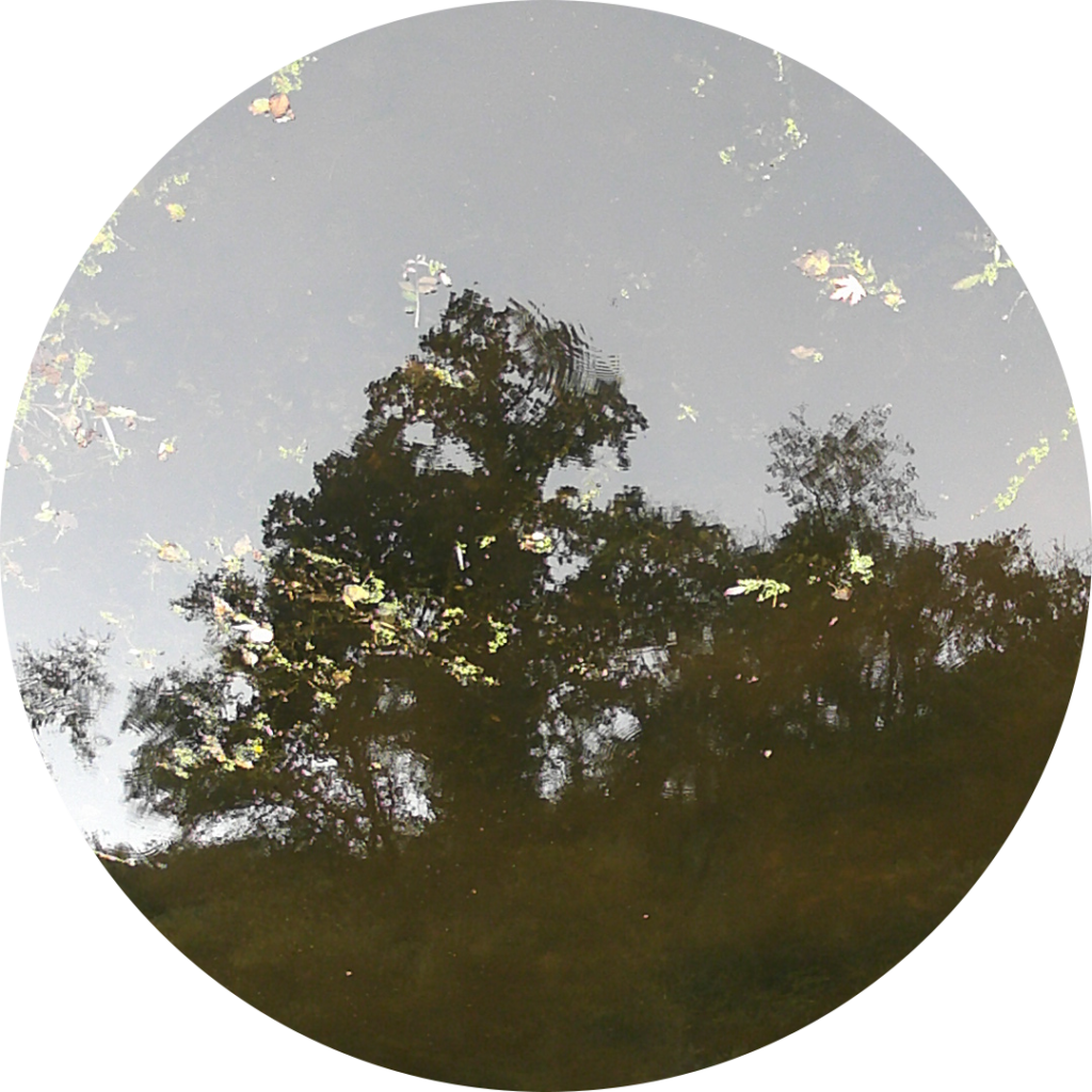 23-10-02_09h46