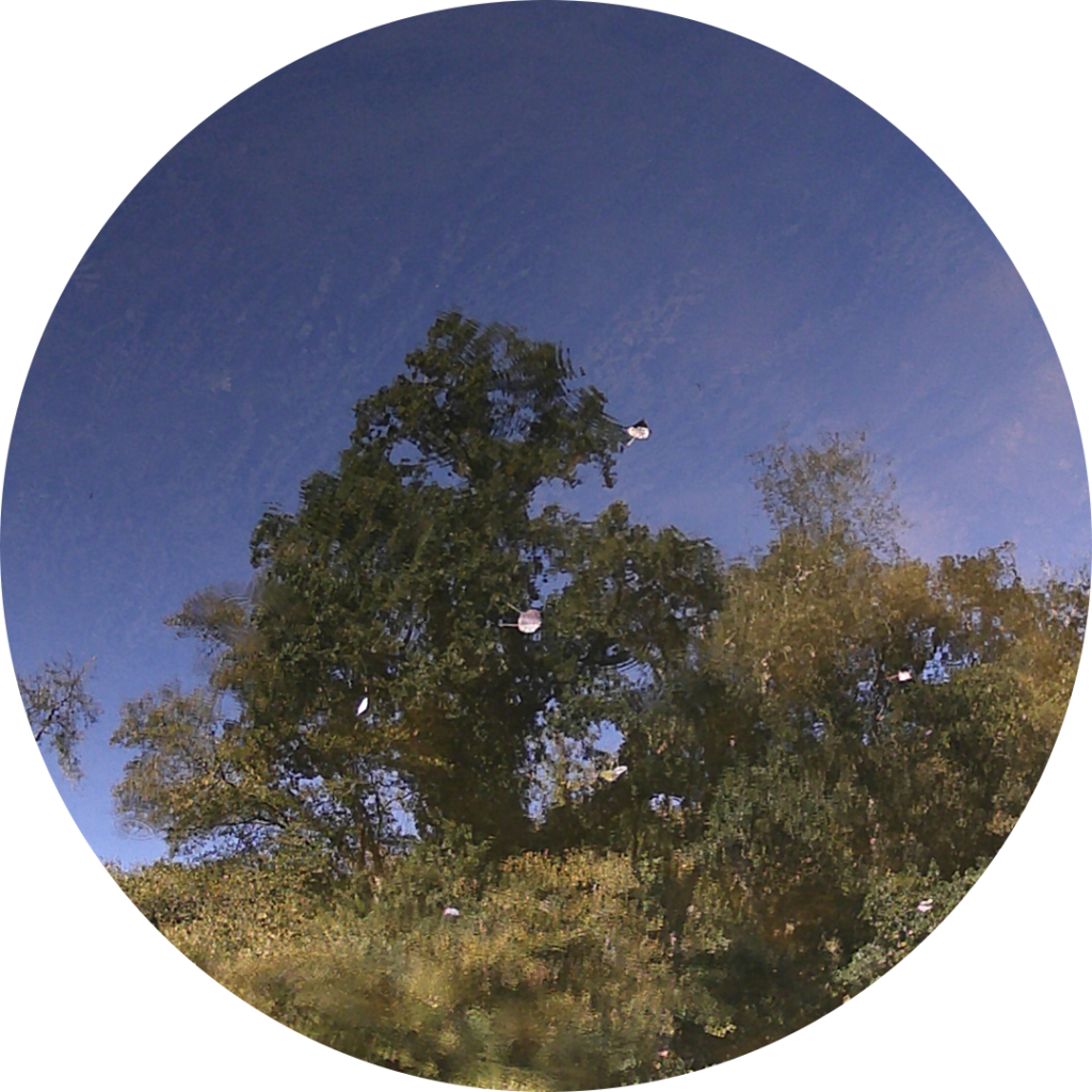 23-10-09_16h32