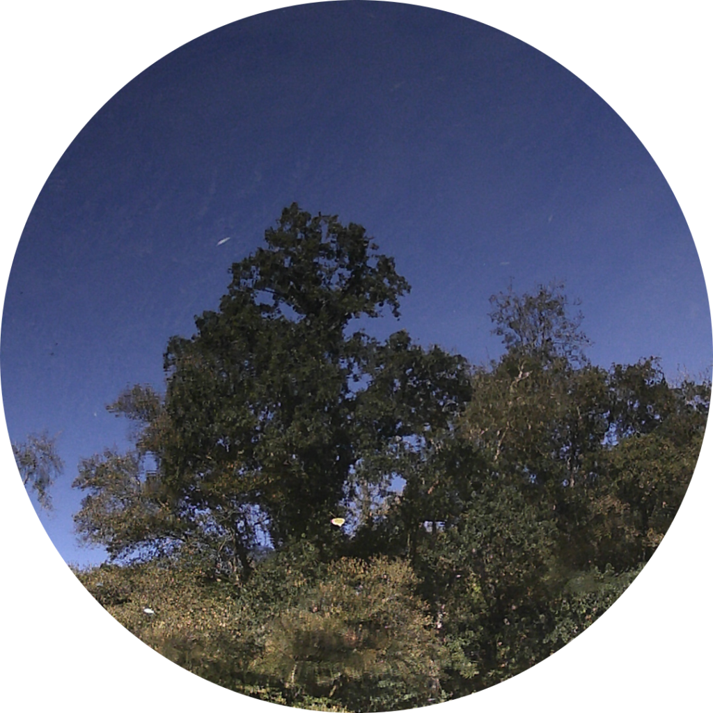 23-10-10_17h31