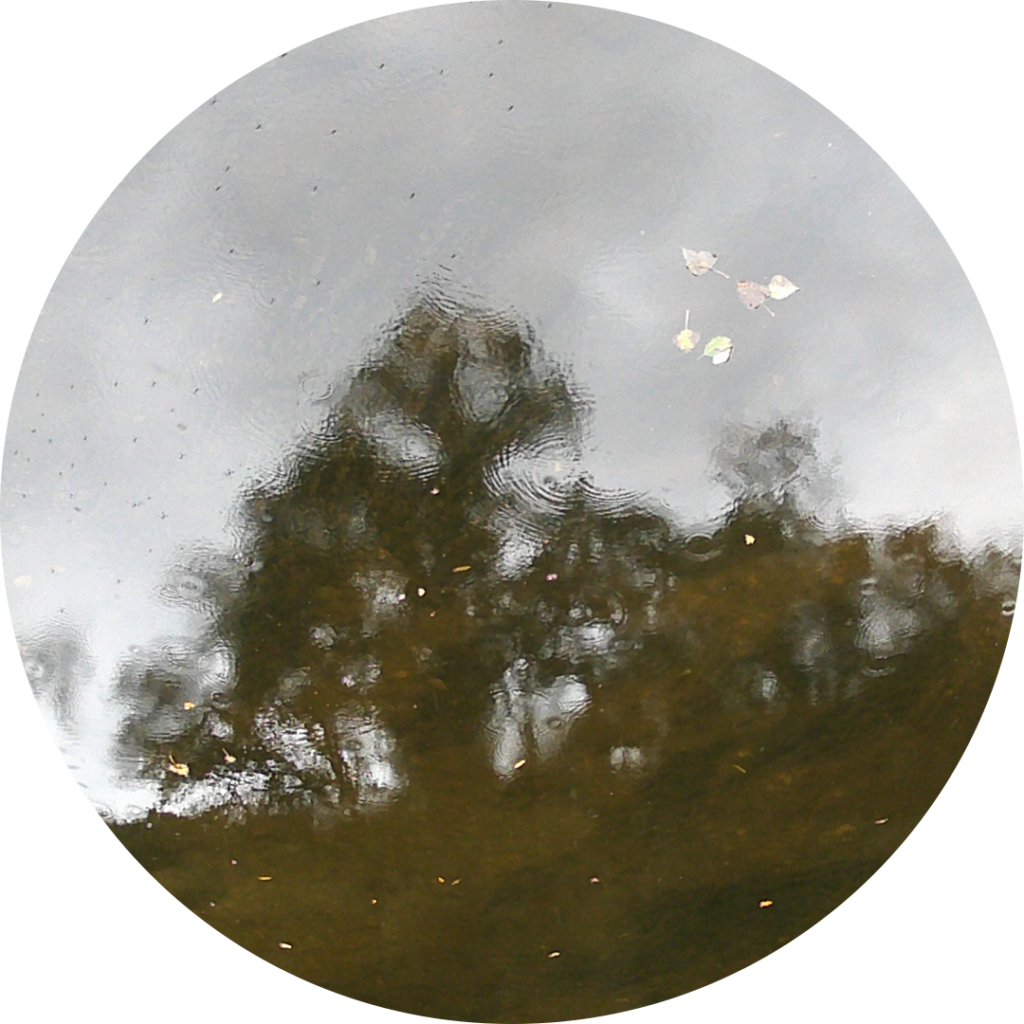 23-10-12_18h48