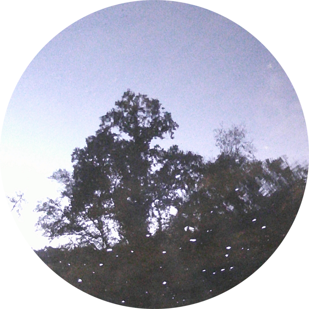 23-10-15_08h12