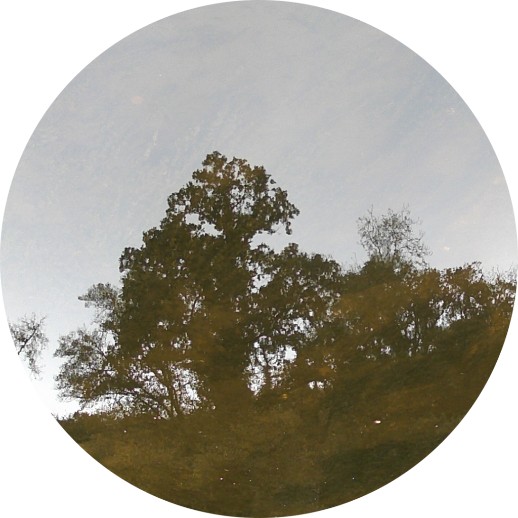 23-10-17_09h10