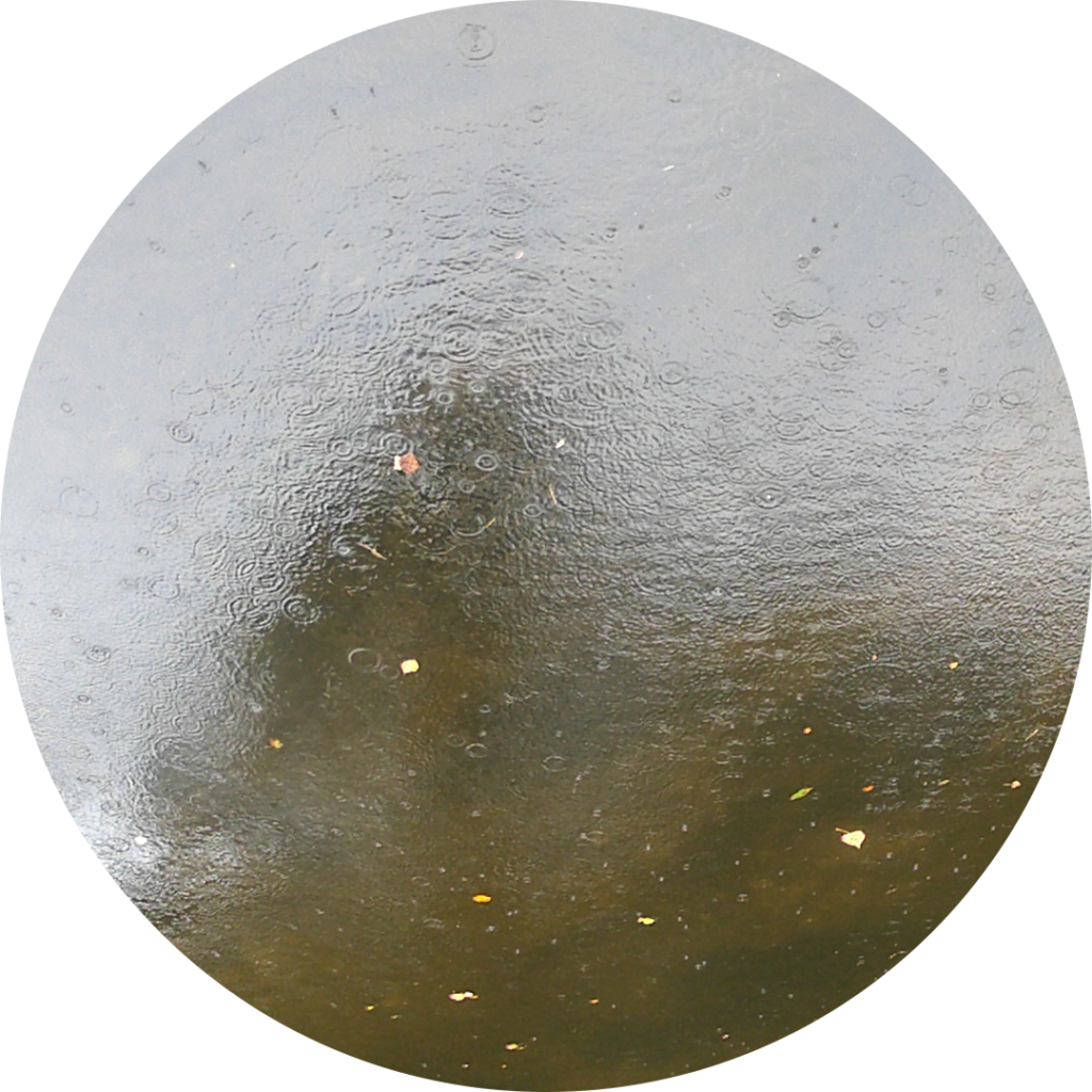 23-10-18_09h39