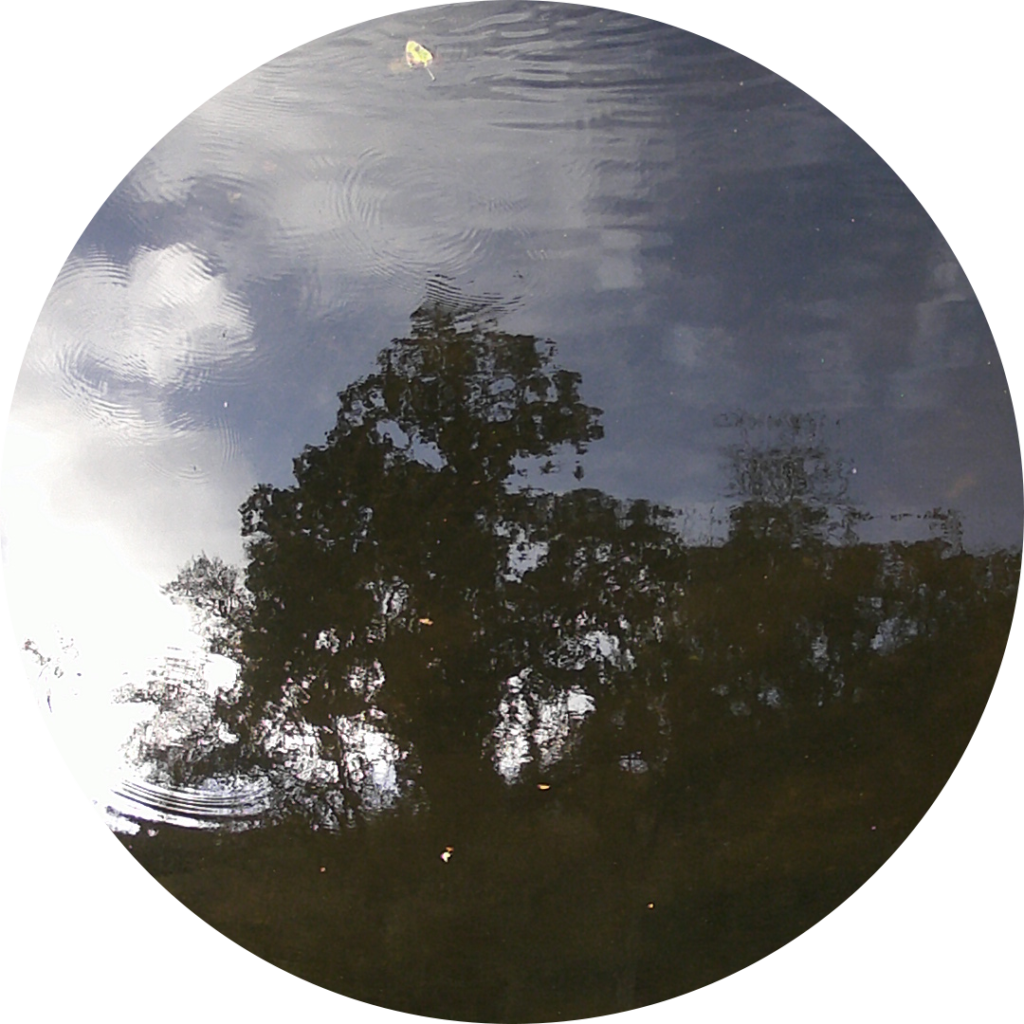 23-10-19_10h08