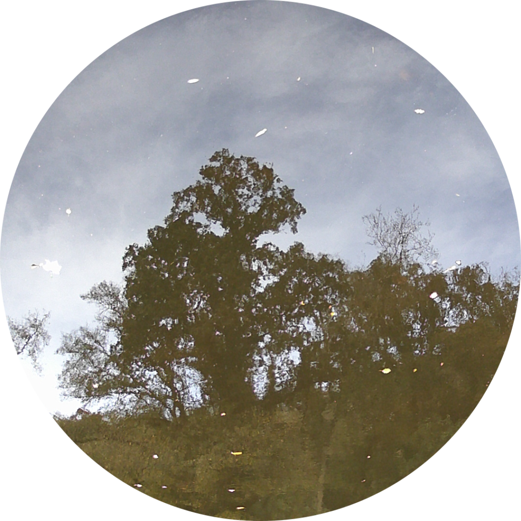 23-10-27_18h55