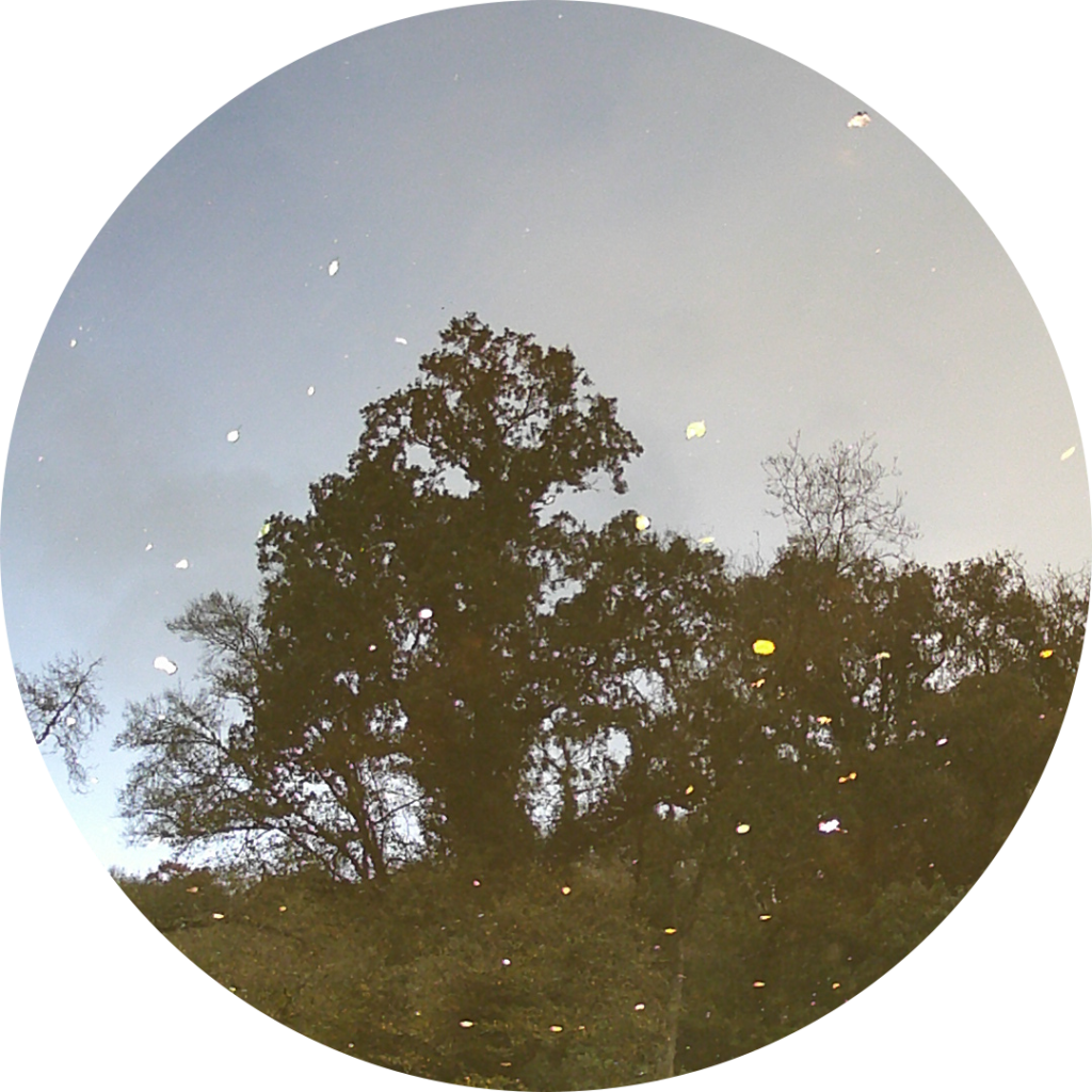 23-10-28_19h44