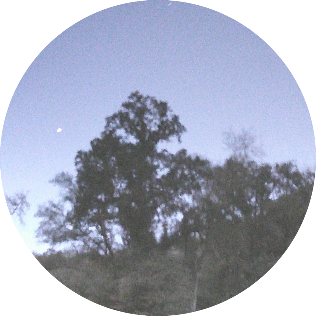23-10-29_19h23
